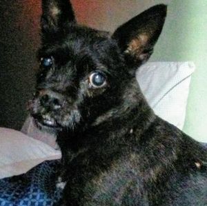 Meet your Posher, Cathy